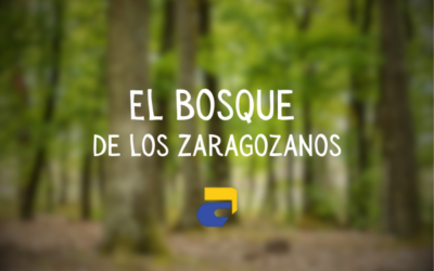 ¡Vivimos el bosque de los zaragozanos!